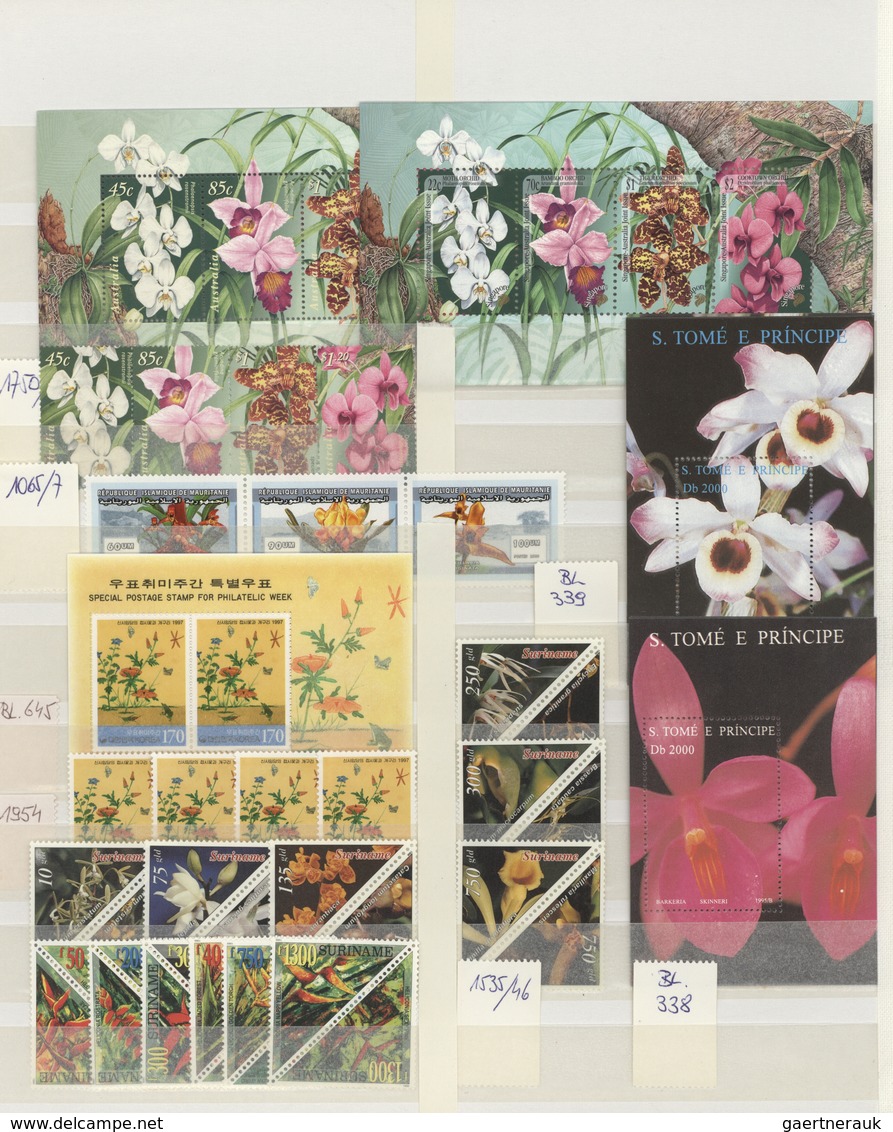 Thematik: Flora, Botanik / Flora, Botany, Bloom: 1990/2000 (ca.), Flowers, Comprehensive MNH Accumul - Autres & Non Classés