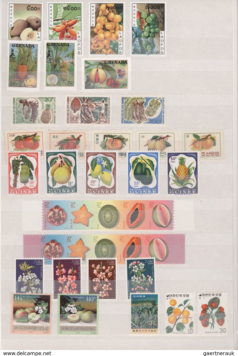 Thematik: Flora-Obst + Früchte / Flora-fruits: 1940/2010 (ca.), PLANTS/FRUITS (mainly) Plus Some FLO - Fruit