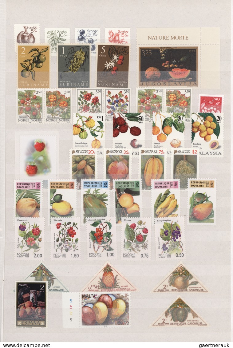 Thematik: Flora-Obst + Früchte / Flora-fruits: 1940/2010 (ca.), PLANTS/FRUITS (mainly) Plus Some FLO - Frutas