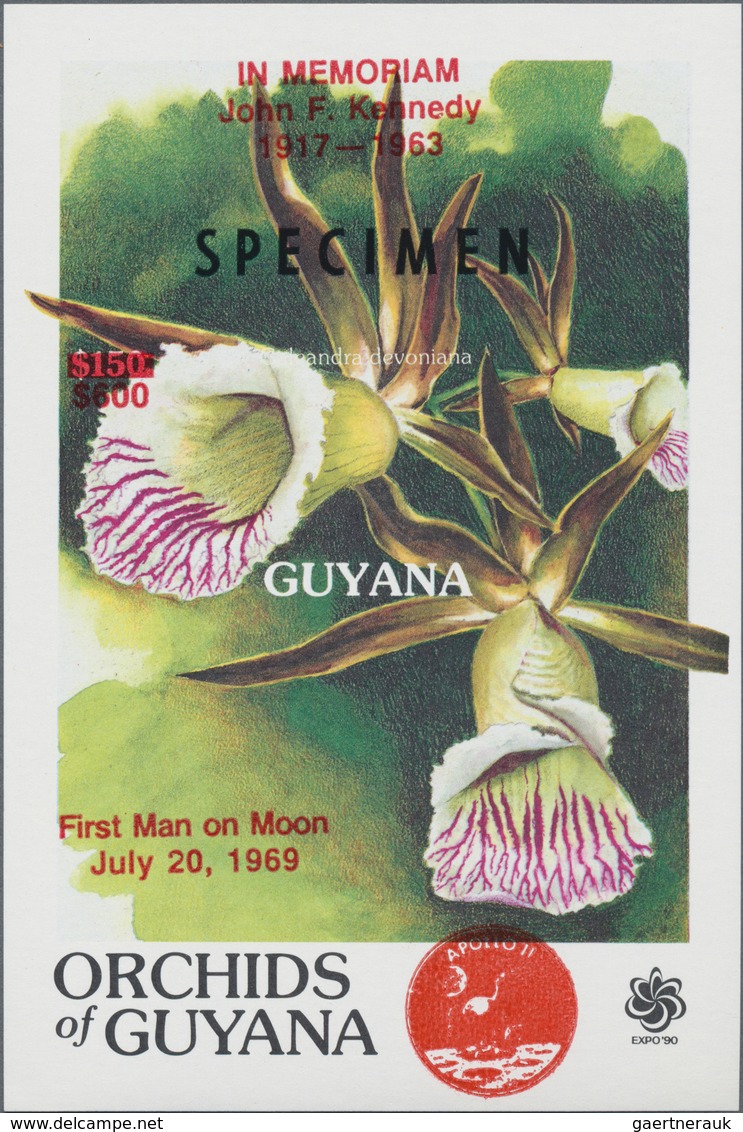 Thematik: Flora-Orchideen / Flora-orchids: 1958 (ab Ca.), ALLE WELT, Viel Guyana, Sammlung Mit Ca. 4 - Orquideas