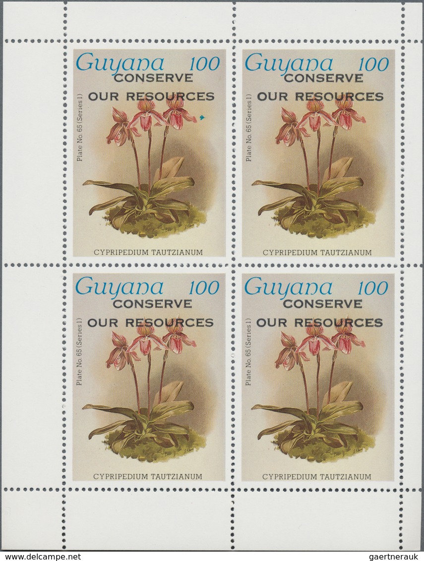 Thematik: Flora-Orchideen / Flora-orchids: 1958 (ab Ca.), ALLE WELT, Viel Guyana, Sammlung Mit Ca. 4 - Orchideeën