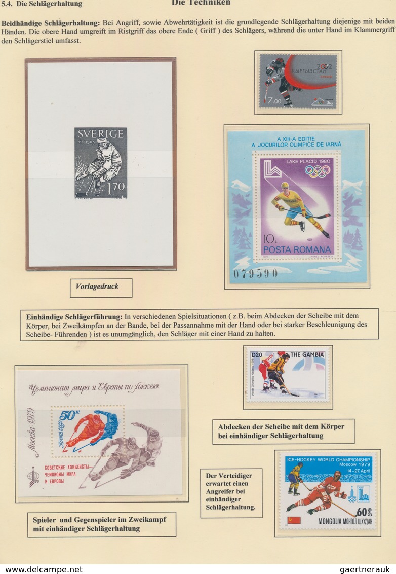 Thematik: Sport-Hockey / sport -hockey: 1878/2014, Ice Hockey, extensive collection in 15 big albums