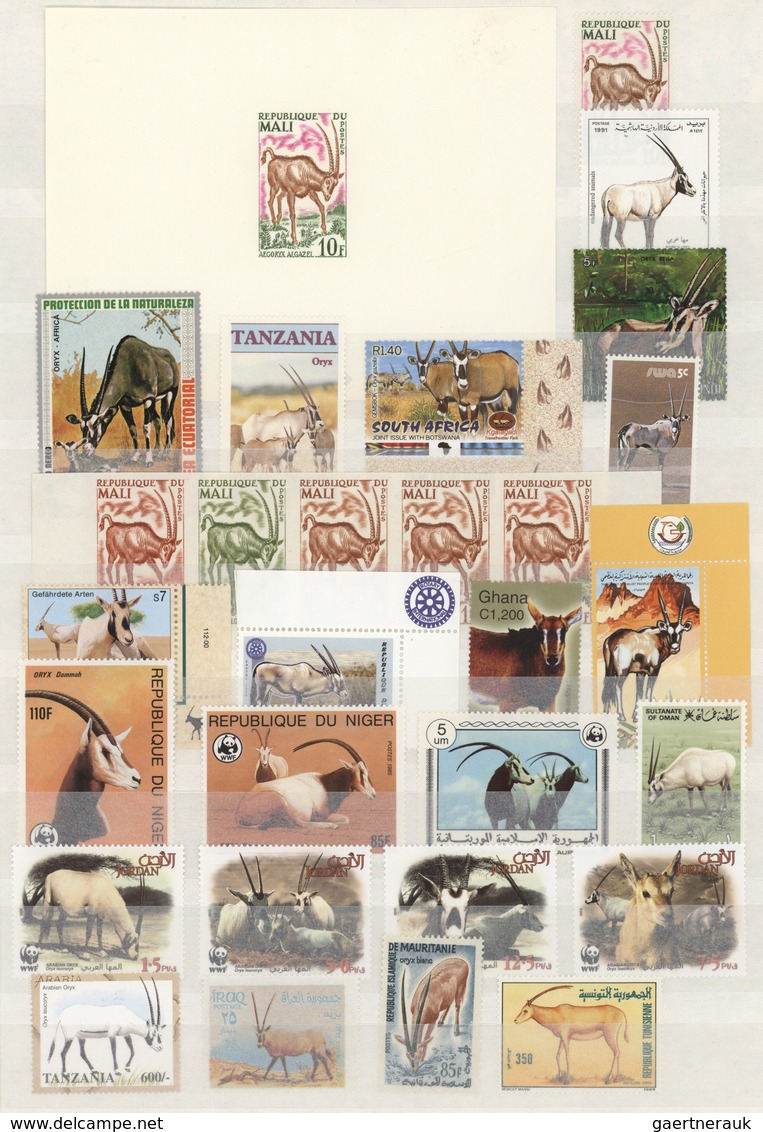 Thematik: Tiere, Fauna / Animals, Fauna: 1920/2000 (ca.), Comprehensive An Wide-spread Mainly MNH Co - Andere & Zonder Classificatie