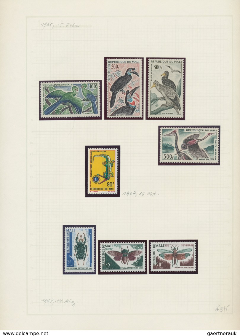 Thematik: Tiere, Fauna / animals, fauna: 1900/2008 (ca.), ALL WORLD ANIMALS AND FLOWERS, most compre