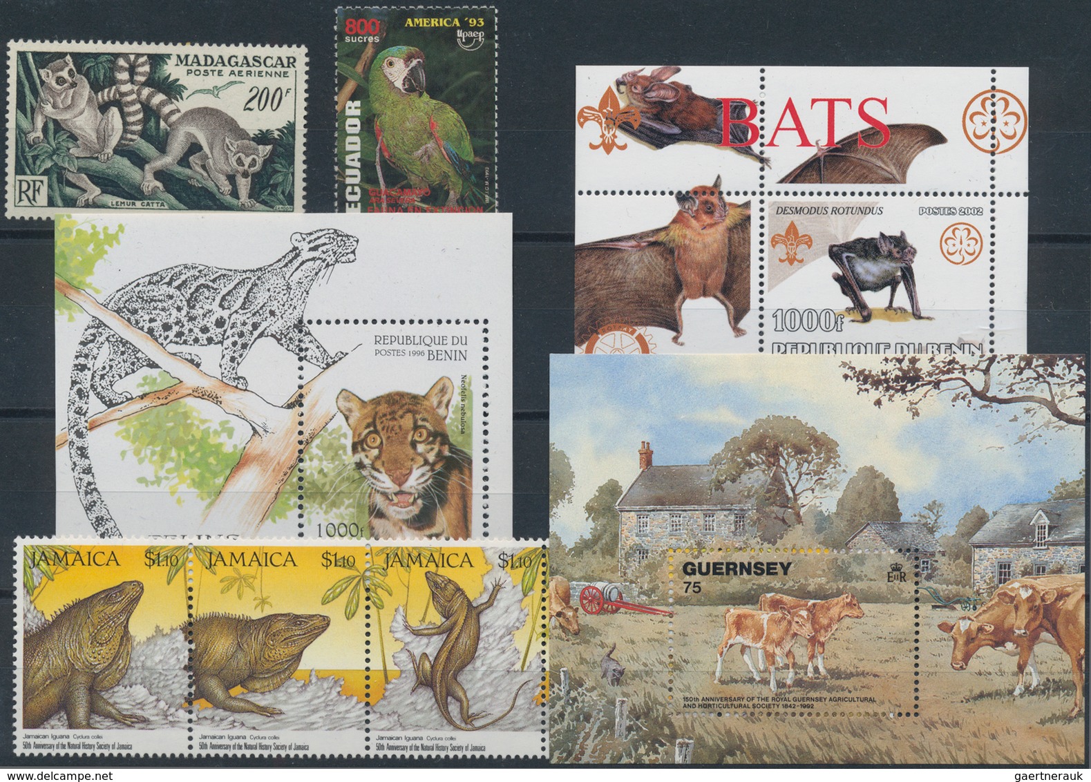 Thematik: Tiere, Fauna / Animals, Fauna: 1920/2007 (ca.), ANIMALS From A To Z, Huge Accumulation Of - Autres & Non Classés