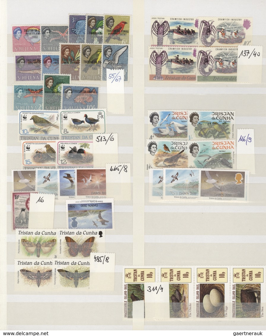 Thematik: Tiere, Fauna / Animals, Fauna: 1950/2000 (ca.), Mainly Modern Issues, Comprehensive MNH Ac - Otros & Sin Clasificación