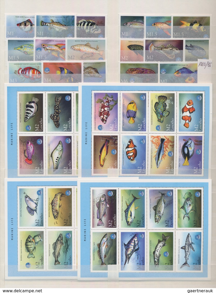 Thematik: Tiere, Fauna / Animals, Fauna: 1960/2000 (ca.), Mainly Modern Issues, Comprehensive MNH Ac - Other & Unclassified