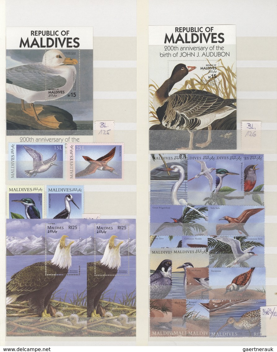 Thematik: Tiere, Fauna / Animals, Fauna: 1960/2000 (ca.), Mainly Modern Issues, Comprehensive MNH Ac - Andere & Zonder Classificatie