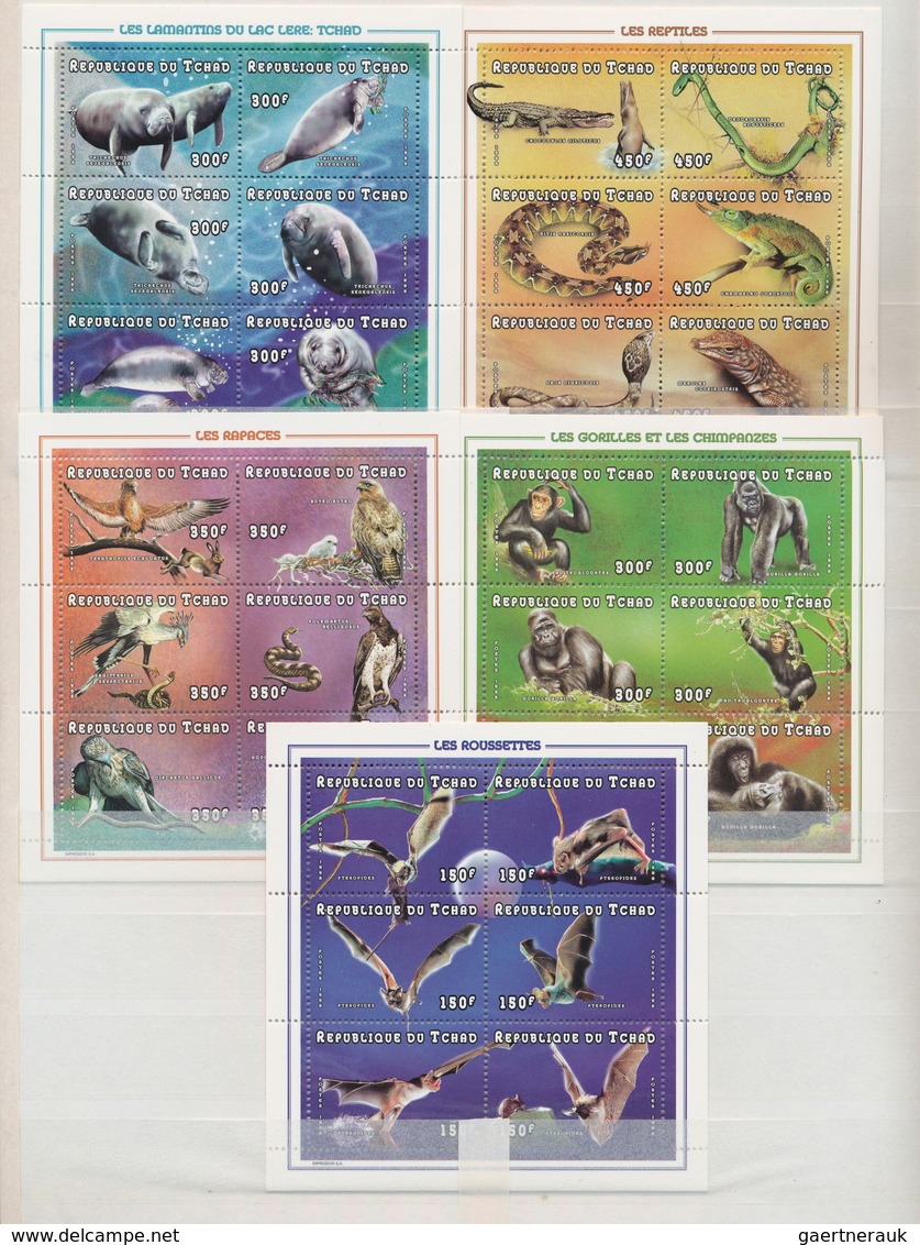 Thematik: Tiere, Fauna / Animals, Fauna: 1960/2000 (ca.), Mainly Modern Issues, Comprehensive MNH Ac - Autres & Non Classés