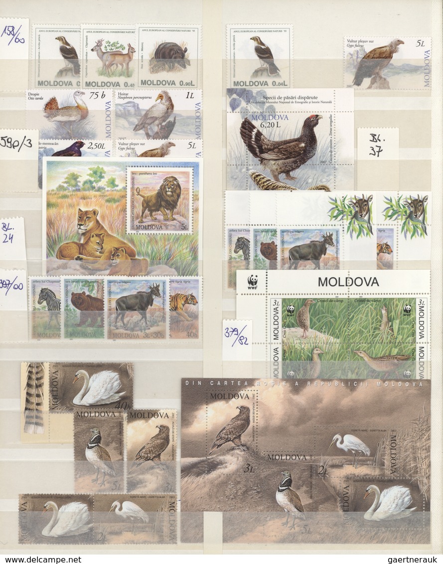 Thematik: Tiere, Fauna / Animals, Fauna: 1960/2005 (ca.), Mainly Modern Issues, Comprehensive MNH Ac - Autres & Non Classés