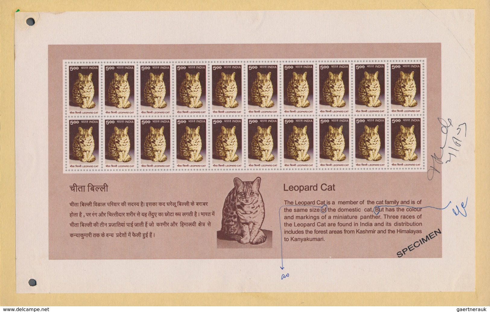 Thematik: Tiere, Fauna / Animals, Fauna: 2000, India. Collection Of 6 Different Complete SPECIMEN Mi - Otros & Sin Clasificación