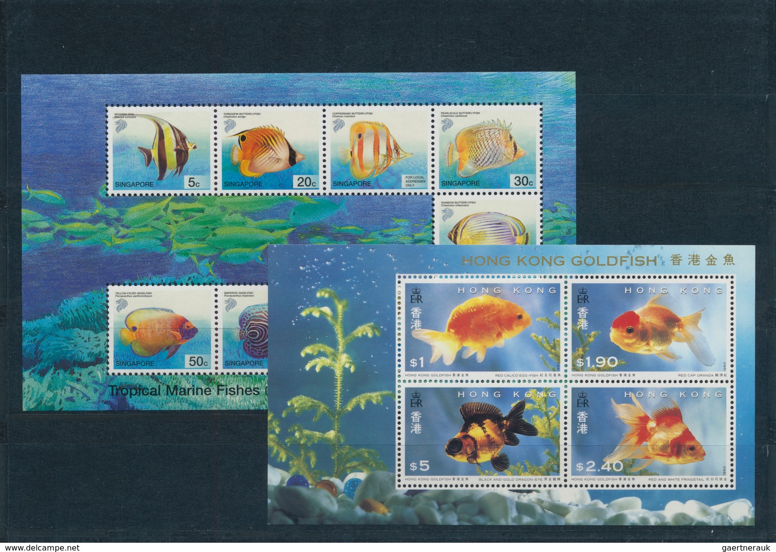 Thematik: Tiere-Fische / Animals-fishes: 1960/2007 (ca.), FISHES/ MARINE CREATURES, Small Accumulati - Peces