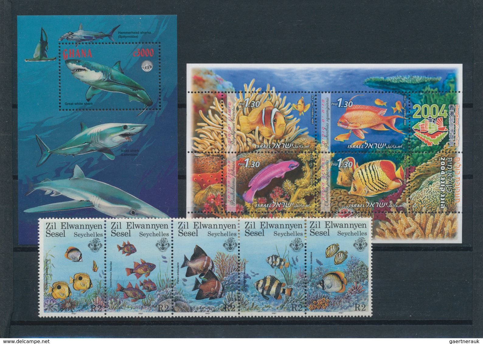Thematik: Tiere-Fische / Animals-fishes: 1960/2007 (ca.), FISHES/ MARINE CREATURES, Small Accumulati - Poissons