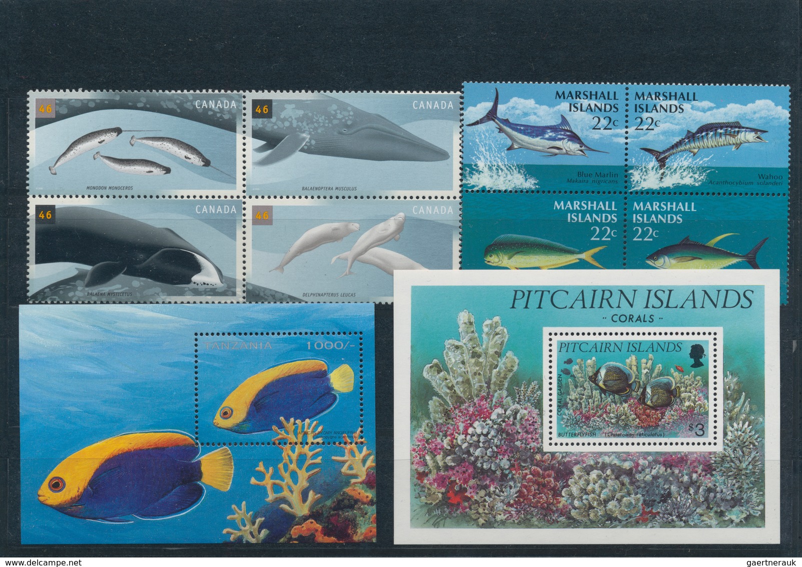 Thematik: Tiere-Fische / Animals-fishes: 1960/2007 (ca.), FISHES/ MARINE CREATURES, Small Accumulati - Peces