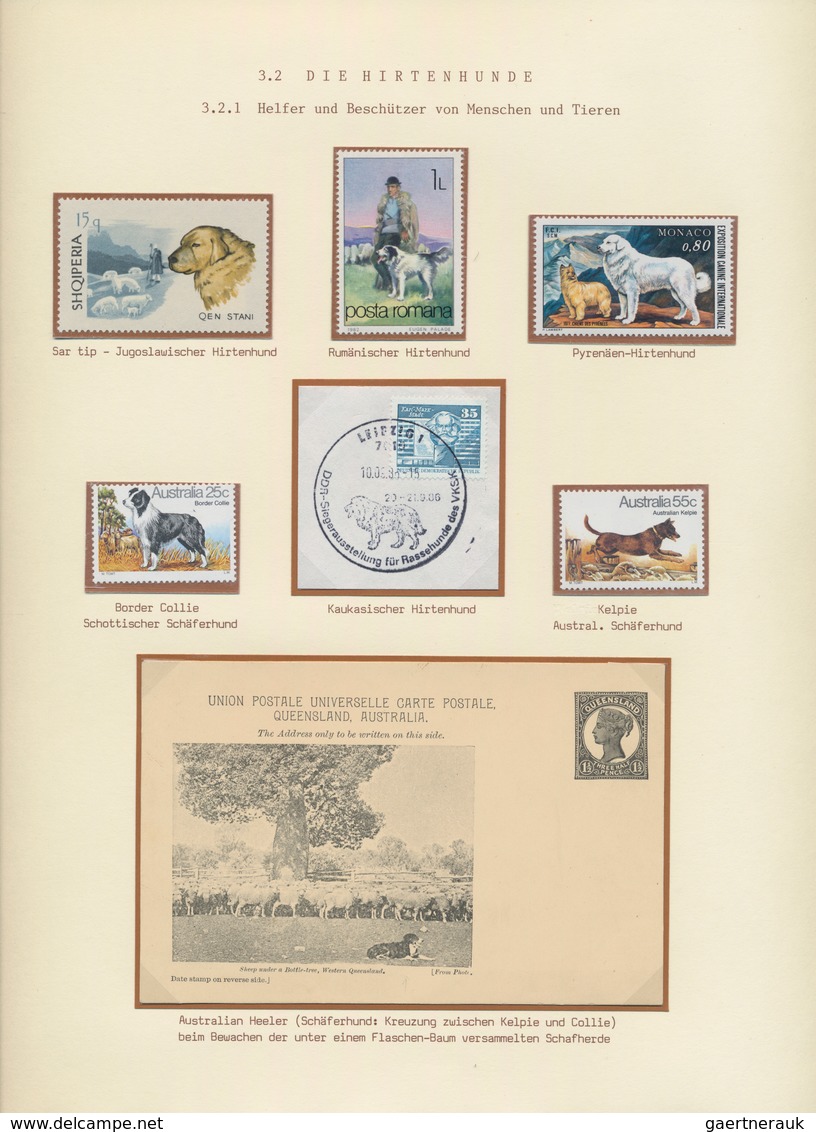 Thematik: Tiere-Hunde / animals-dogs: From 1819 on, Europe/Overseas. DOGS - THE FINE LARGE GOLD MEDA