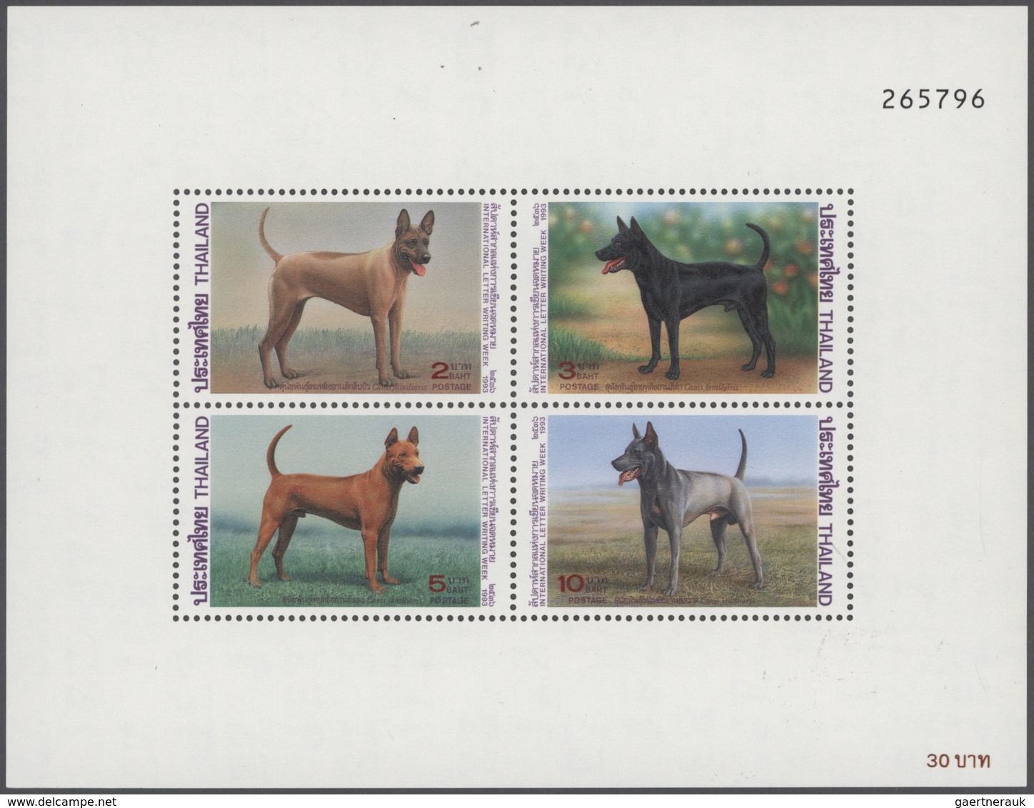 Thematik: Tiere-Hunde / Animals-dogs: 1960/2007 (ca.), Comprehensive Thematic Collection "DOGS OF TH - Honden