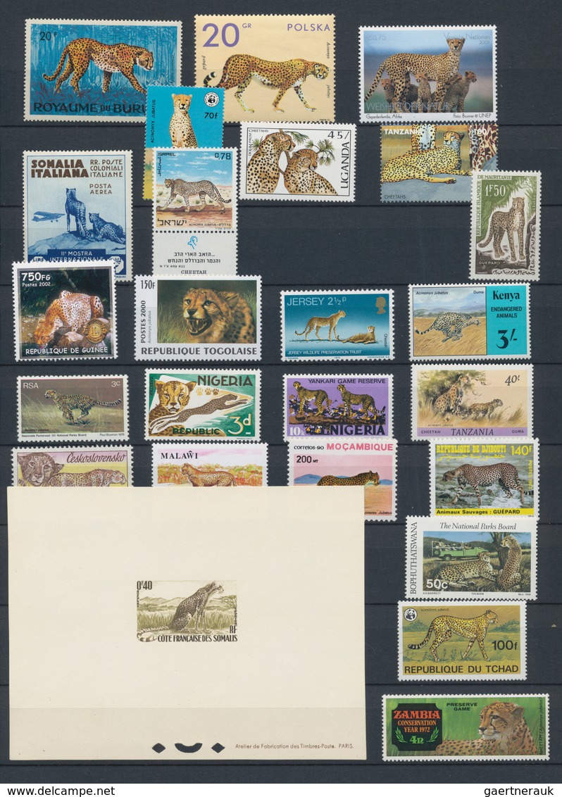 Thematik: Tiere-Raubtiere / Animals-predacious Cats: 1920/2010 (ca.), Comprehensive Mainly MNH Colle - Andere & Zonder Classificatie