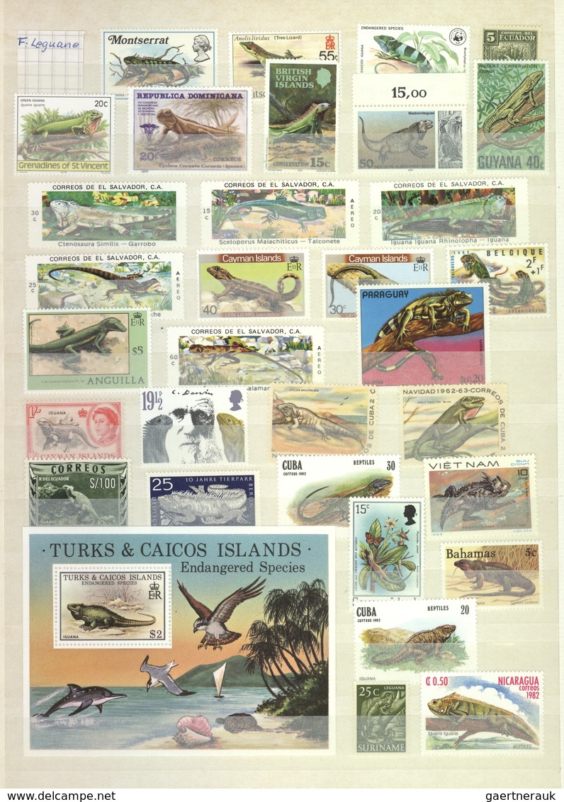 Thematik: Tiere-Reptilien / Animals-reptiles: 1960/2000 (ca.), REPTILES/AMPHIBIAN, Comprehensive MNH - Autres & Non Classés