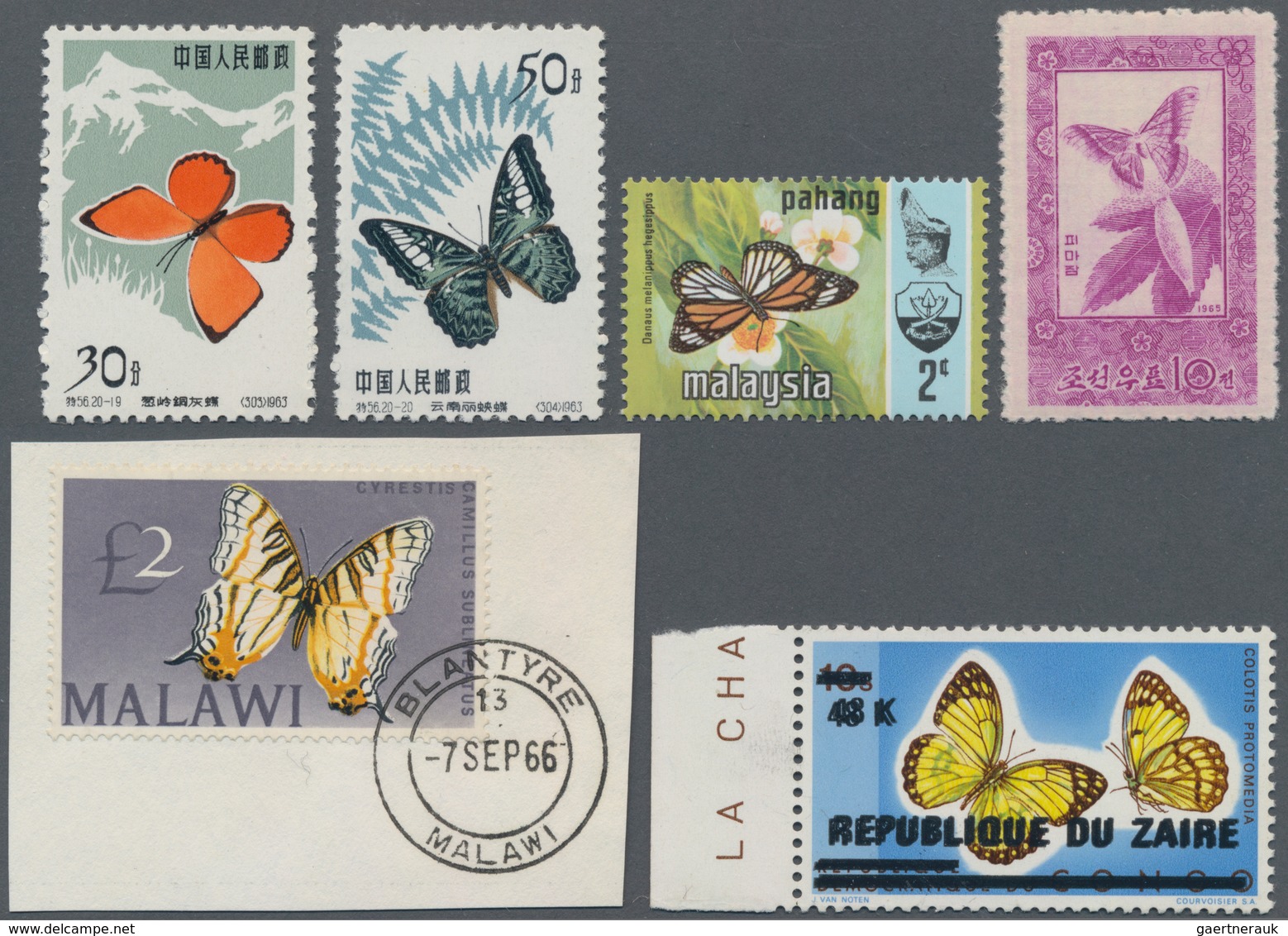 Thematik: Tiere-Schmetterlinge / Animals-butterflies: 1870/1990 (ca.), Balance Of An Exhibition Coll - Papillons
