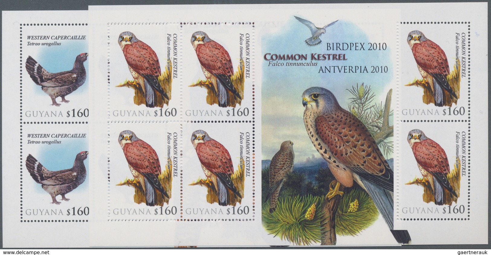 Thematik: Tiere-Vögel / Animals-birds: 2010, Guyana Personalized Stamp BIRDS, 22 Mint Never Hinged M - Andere & Zonder Classificatie