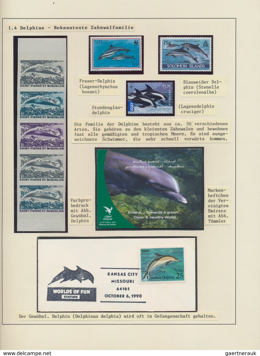 Thematik: Tiere-Meeressäuger (u.a. Wale) / Animals-aquatic Mammals: 1850/2010 (ca.), WHALES AND DOLP - Otros & Sin Clasificación