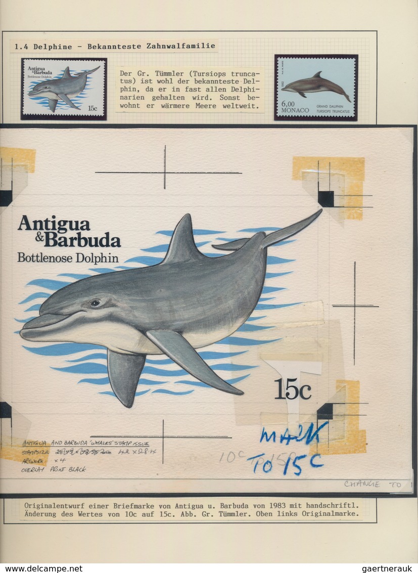 Thematik: Tiere-Meeressäuger (u.a. Wale) / Animals-aquatic Mammals: 1850/2010 (ca.), WHALES AND DOLP - Andere & Zonder Classificatie