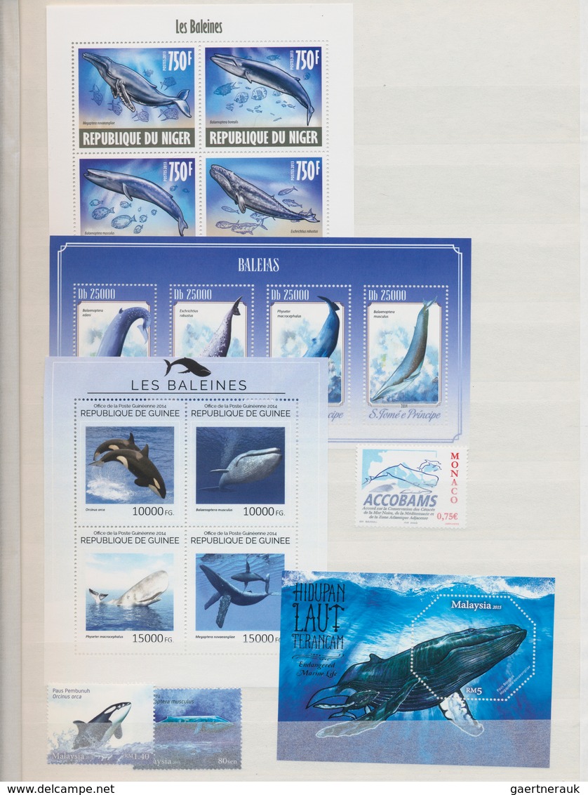 Thematik: Tiere-Meeressäuger (u.a. Wale) / Animals-aquatic Mammals: 1980/2012 (ca.), WHALES AND DOLP - Otros & Sin Clasificación