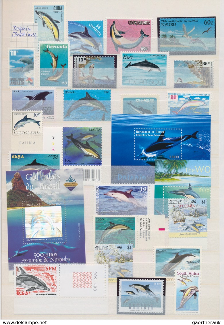 Thematik: Tiere-Meeressäuger (u.a. Wale) / Animals-aquatic Mammals: 1980/2012 (ca.), WHALES AND DOLP - Autres & Non Classés