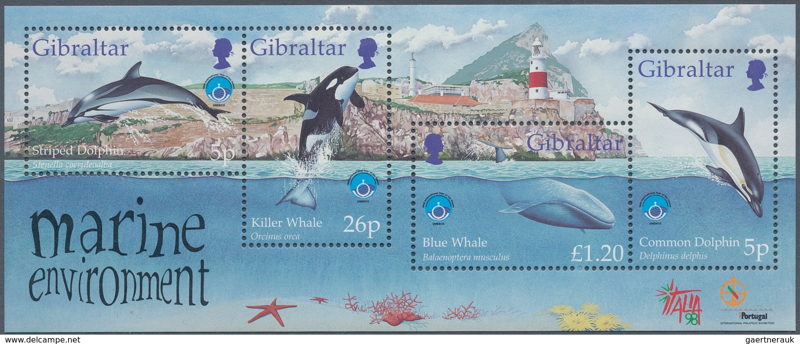 Thematik: Tiere-Meeressäuger (u.a. Wale) / Animals-aquatic Mammals: 1998, Gibraltar: Whales And Dolp - Autres & Non Classés