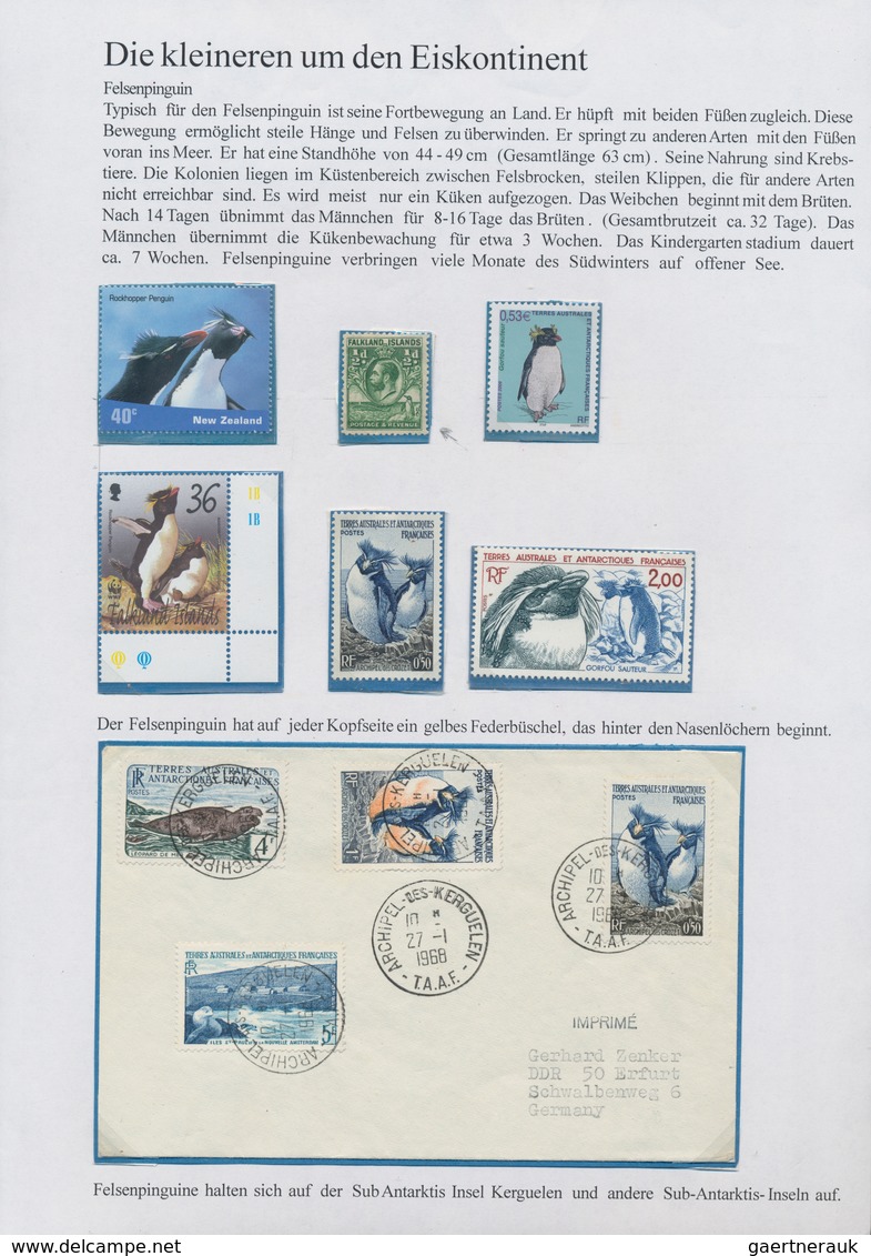 Thematik: Tiere-Wasservögel / Animals-water Birds: Hübsche Rang 3 Ausstellungssammlung "PINGUINE-Vög - Autres & Non Classés