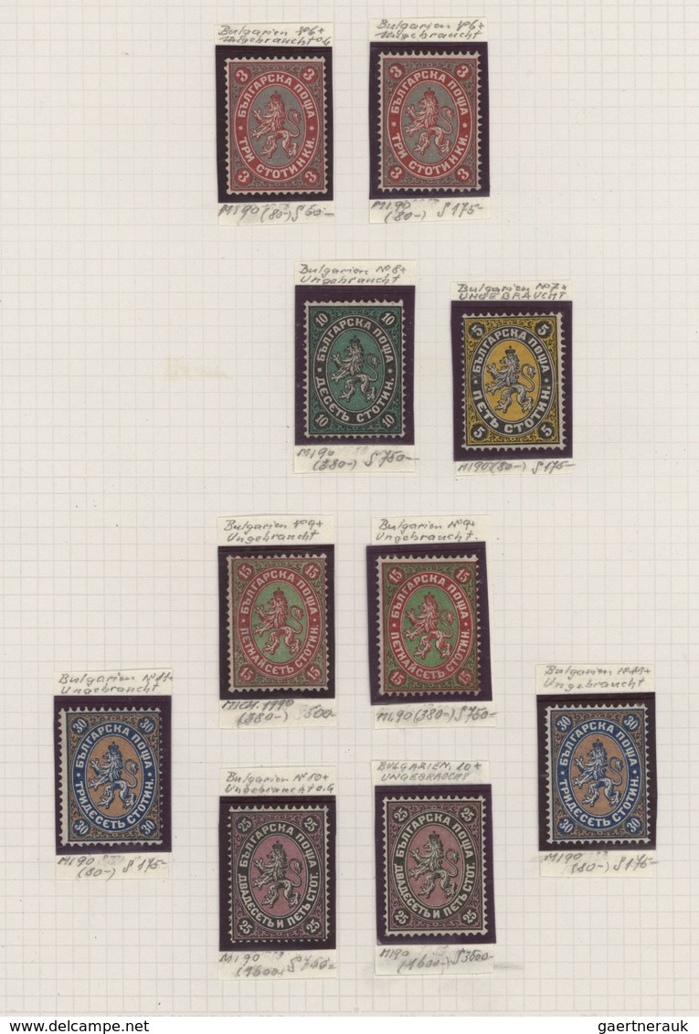 Bulgarien: 1879/1881, A Splendid Mint Collection Of 19 Stamps Of First Issues, Neatly Neatly Arrange - Nuevos
