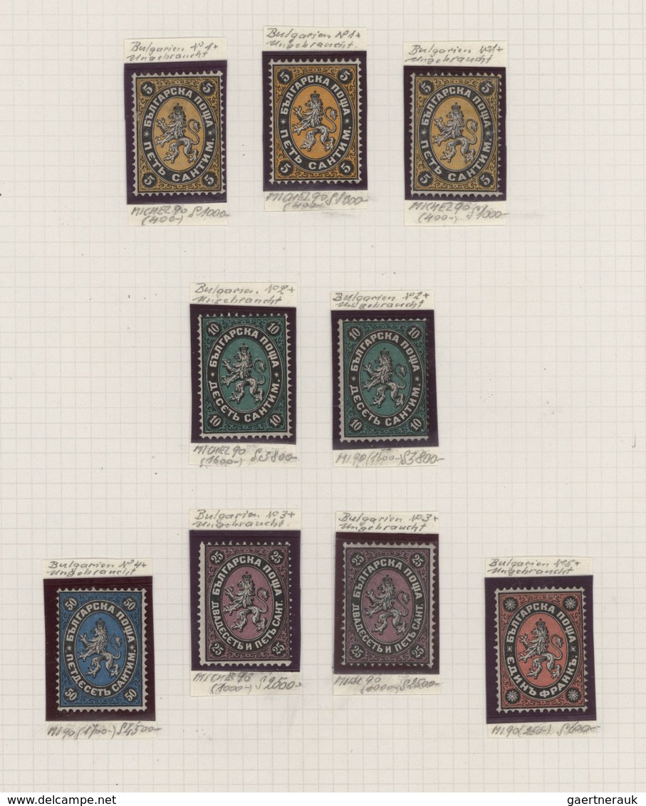 Bulgarien: 1879/1881, A Splendid Mint Collection Of 19 Stamps Of First Issues, Neatly Neatly Arrange - Nuevos