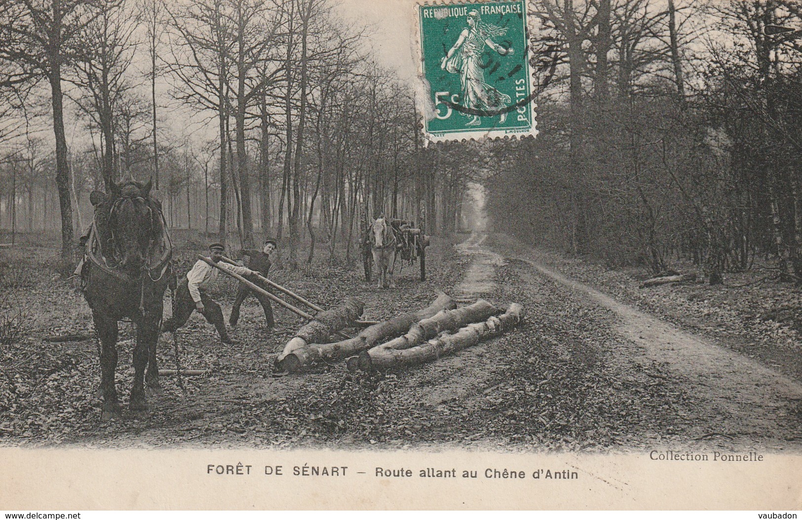 CP- TRES RARE - Forêt De Sénart - Route Allant Au Chêne D'Antin - Débardage Avec Chevaux - Voyagé - Other & Unclassified