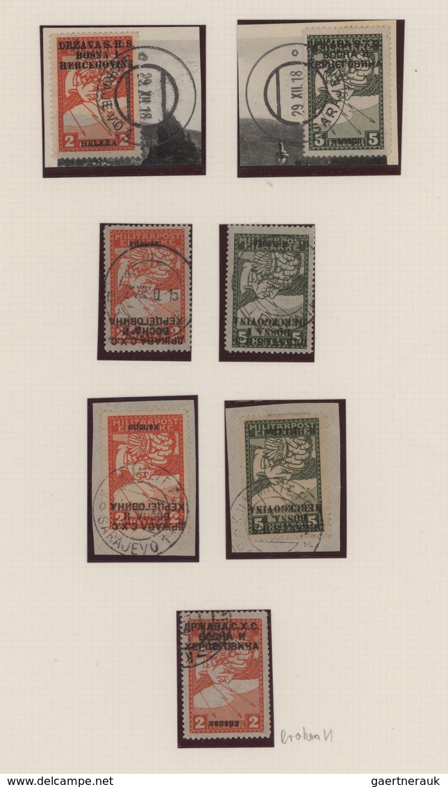 Jugoslawien: 1918/1919, Overprints On Bosnia (Express Stamps, Invalids Stamps And Newspaper Stamps), - Lettres & Documents