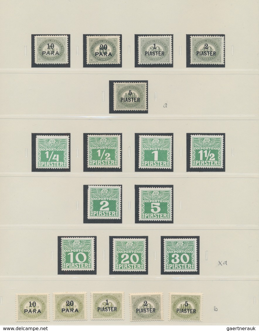 Österreichische Post In Der Levante - Portomarken: 1902 - 1910, Sammlung Der Portomarken, Ungebrauch - Oriente Austriaco