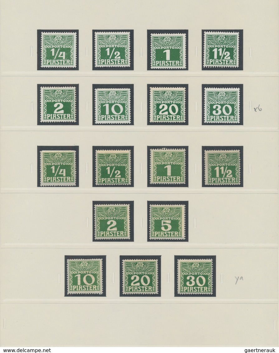 Österreichische Post In Der Levante - Portomarken: 1902 - 1910, Sammlung Der Portomarken, Ungebrauch - Oriente Austriaco