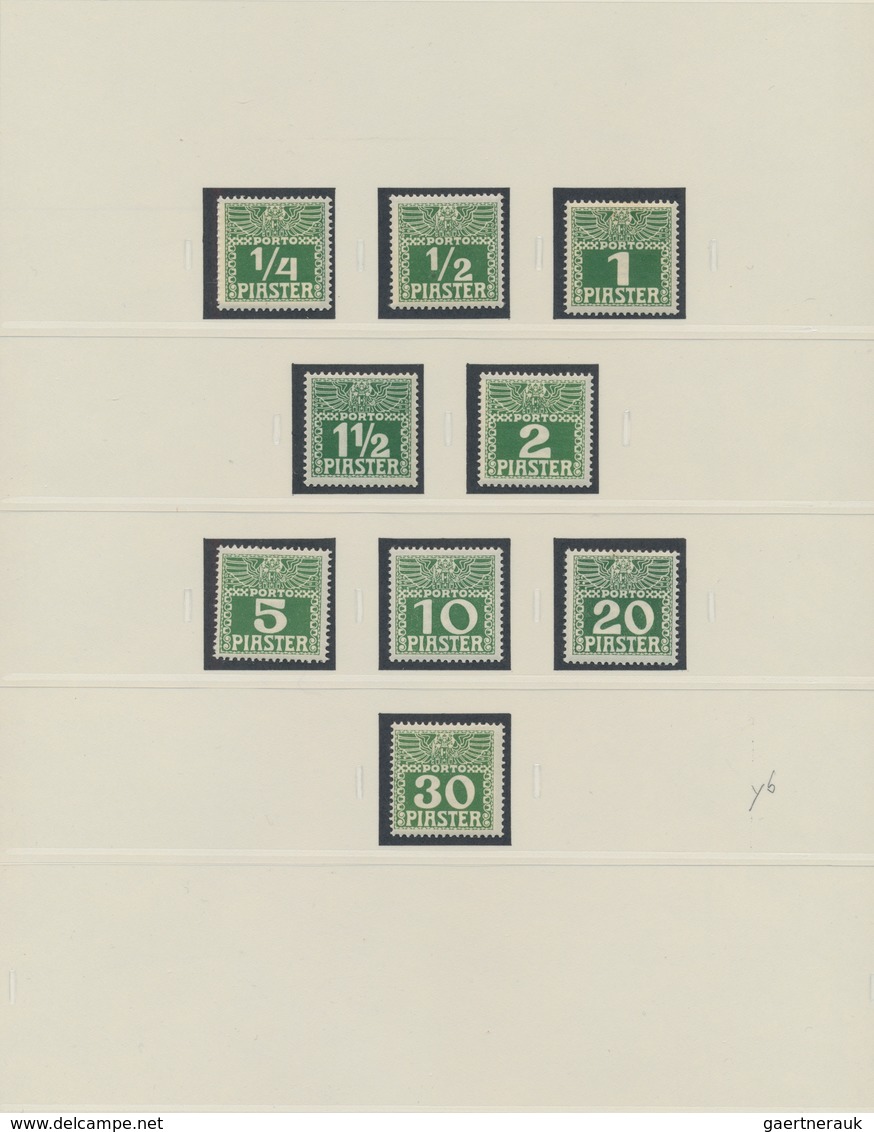 Österreichische Post In Der Levante - Portomarken: 1902 - 1910, Sammlung Der Portomarken, Ungebrauch - Levante-Marken