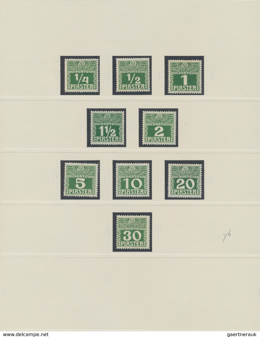 Österreichische Post In Der Levante - Portomarken: 1902 - 1910, Sammlung Der Portomarken, Ungebrauch - Oostenrijkse Levant