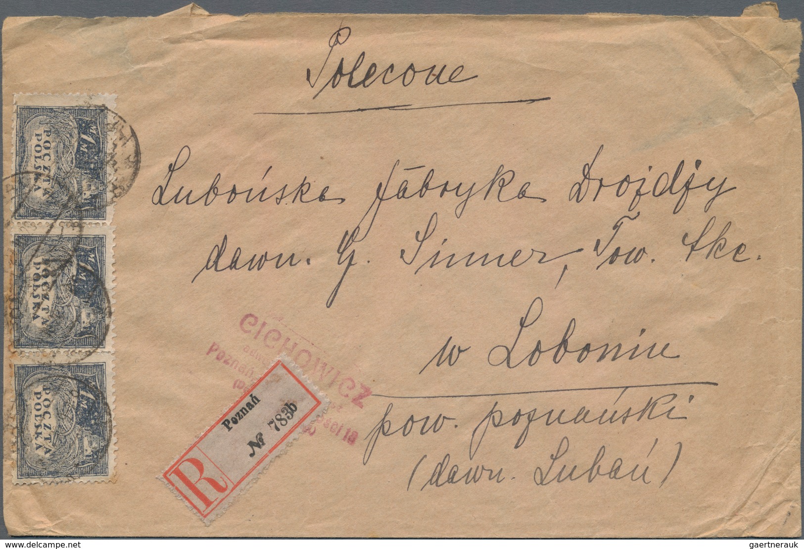 Polen: 1918/88 (ca.), Accumulation Of Approx. 550 Unused And Commercially Used Picture Postal Statio - Gebruikt