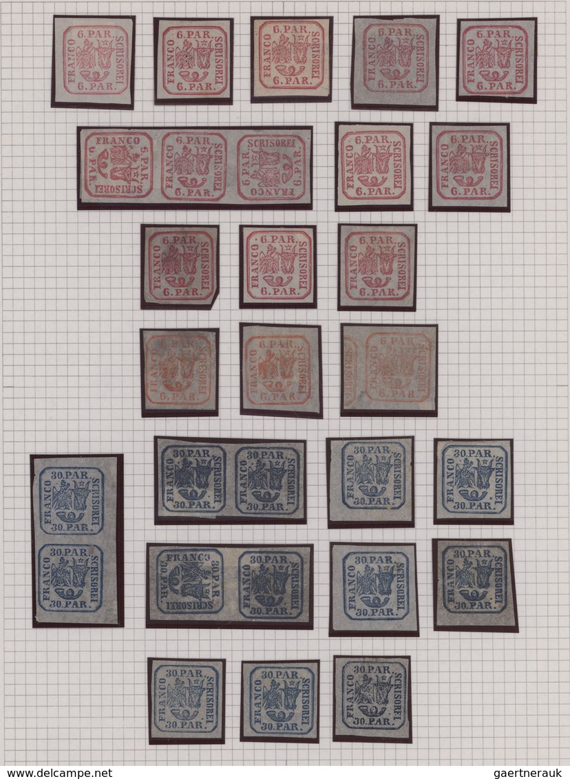 Rumänien: 1862/1866, A Splendid Mint Collection Of 211 Stamps (incl. Some Multiples) On Album Pages, - Usado