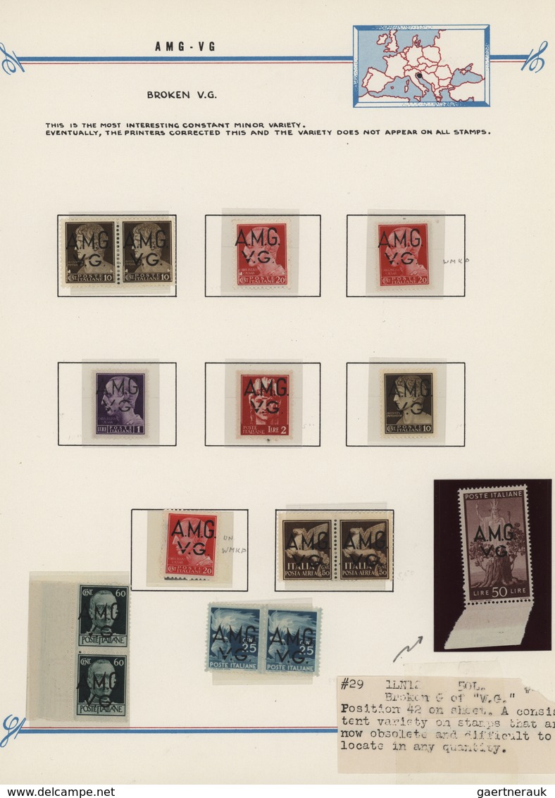 Triest - Julisch-Venetien (A.M.G.V.G.): 1943/1946, Deeply Specialised Collection On Album Pages, Com - Ungebraucht