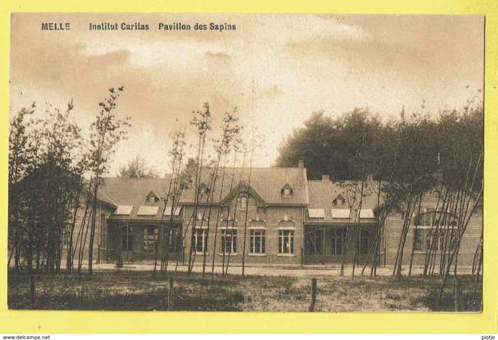 * Melle (Oost Vlaanderen) * (Epouse Vanden Berghe) Institut Caritas, Pavillon Des Sapins, Gesticht, Rare, Old - Melle