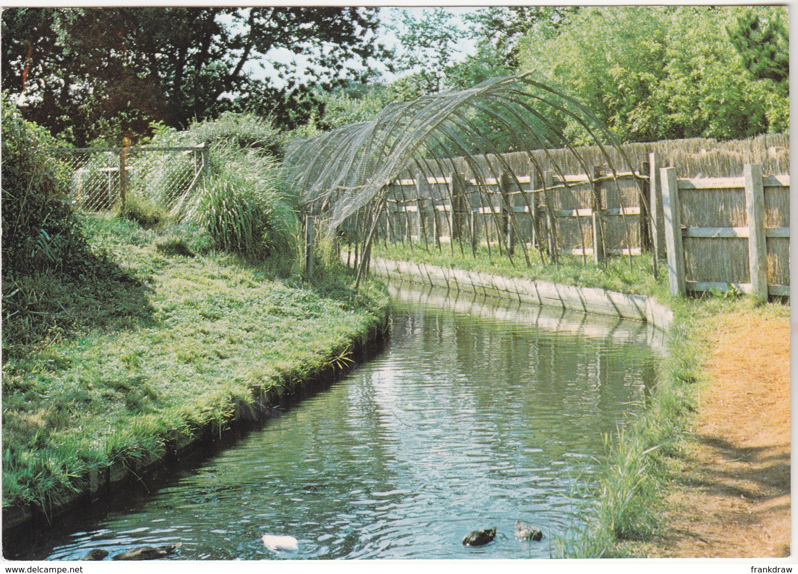 Postcard - The Duck Decoy Showing The Netted Trap Or Pipe - Card No. CKAB 3 - VG - Non Classés