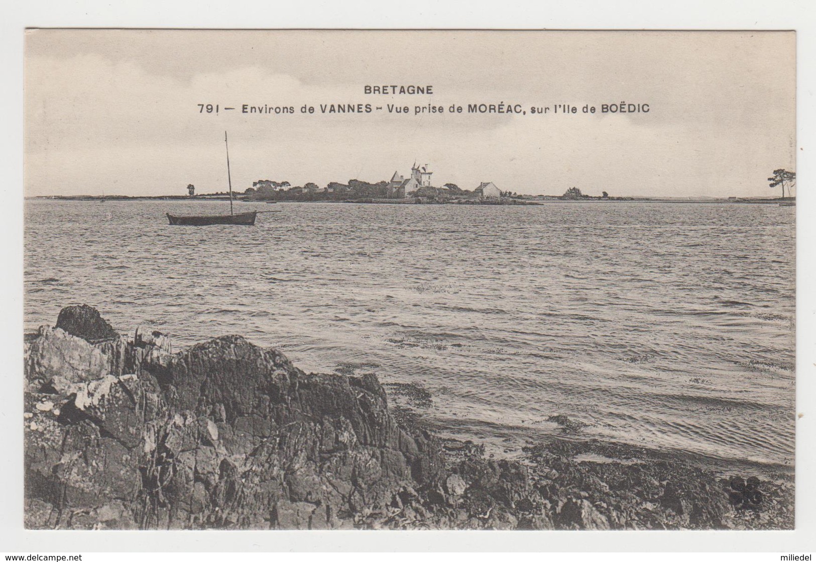 AC595 - Environs De VANNES - Vue Prise De Moréac Sur L'île De BOEDIC (bouédic ?) - Vannes