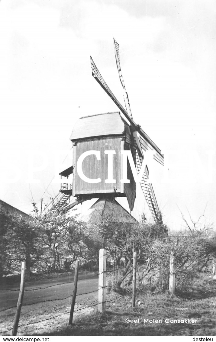 Molen Gansakker -  Geel - Geel