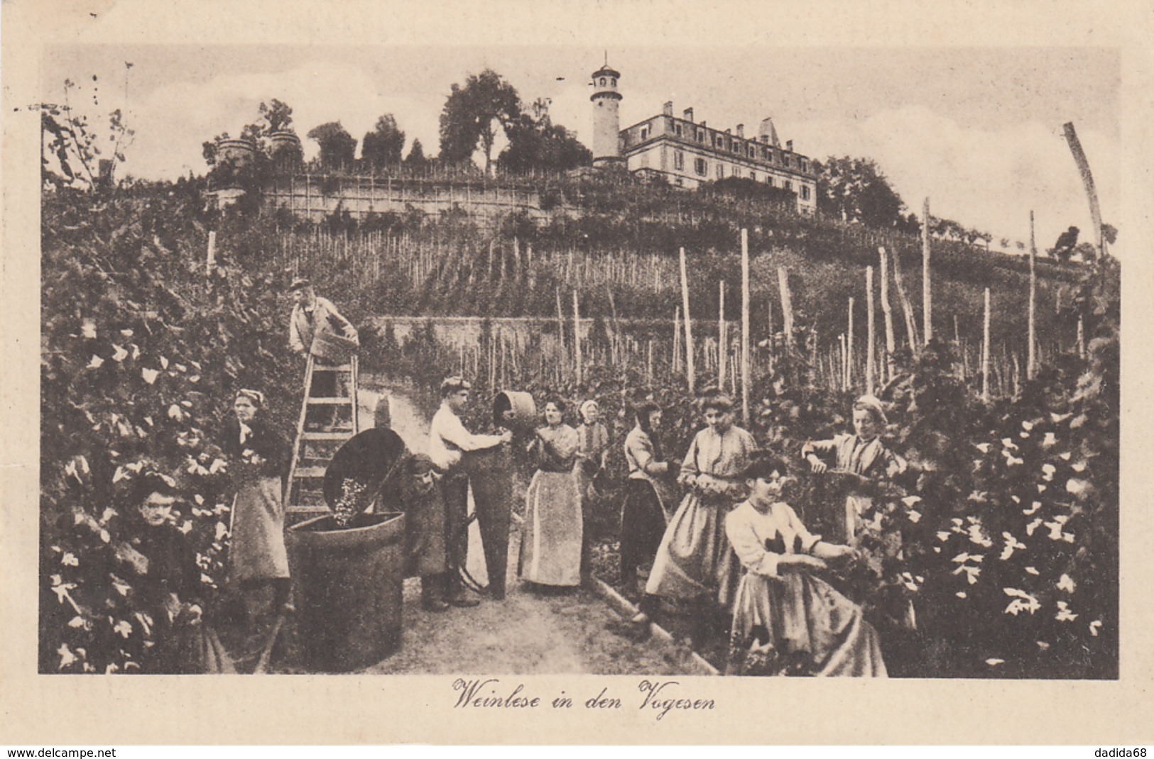 CPA - ROUFFACH - ALSACE - VENDANGES - Rouffach