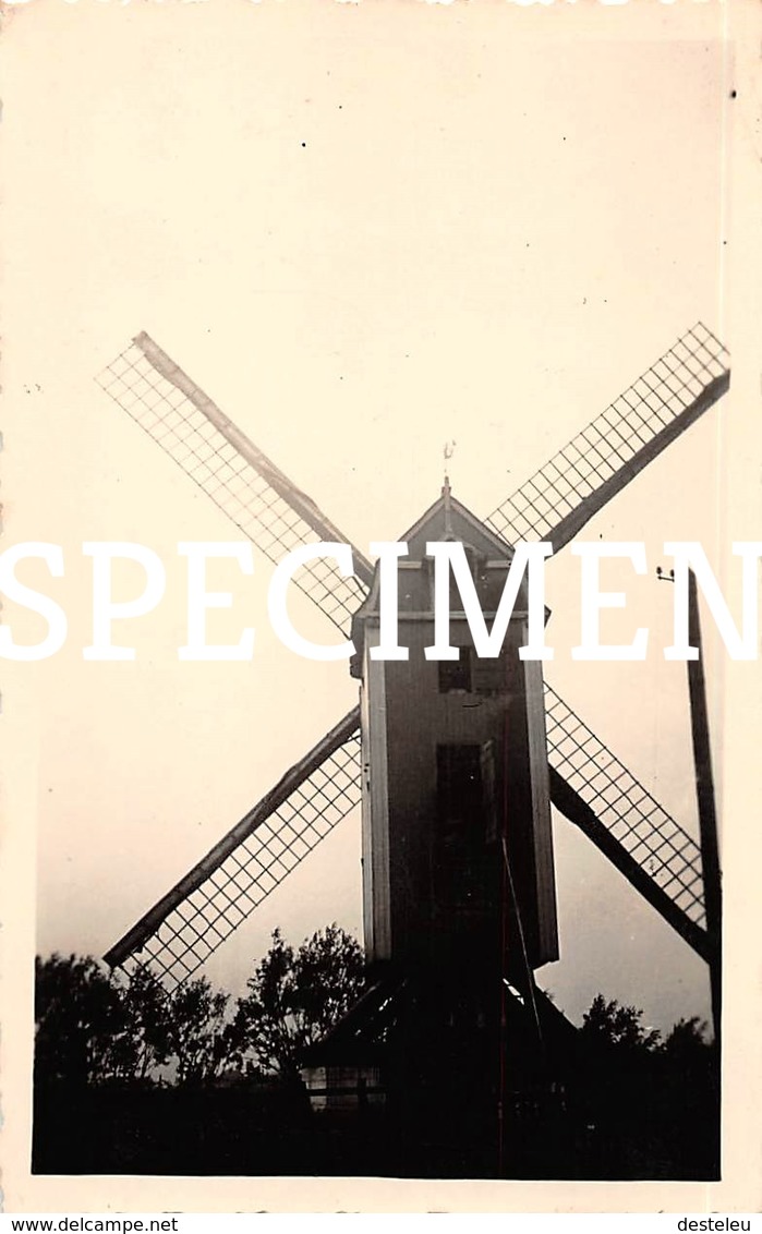 Foto Molen -  Houtave 6,5 X 10,5 Cm - Zuienkerke