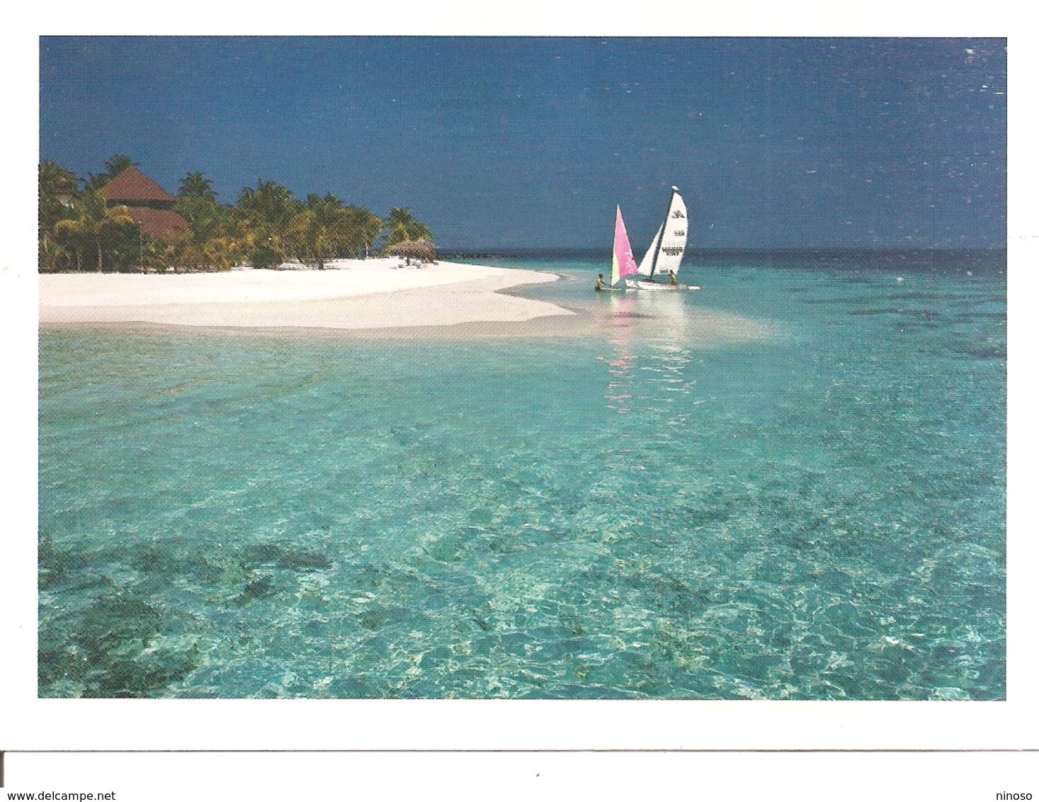 MALDIVE - Maldive