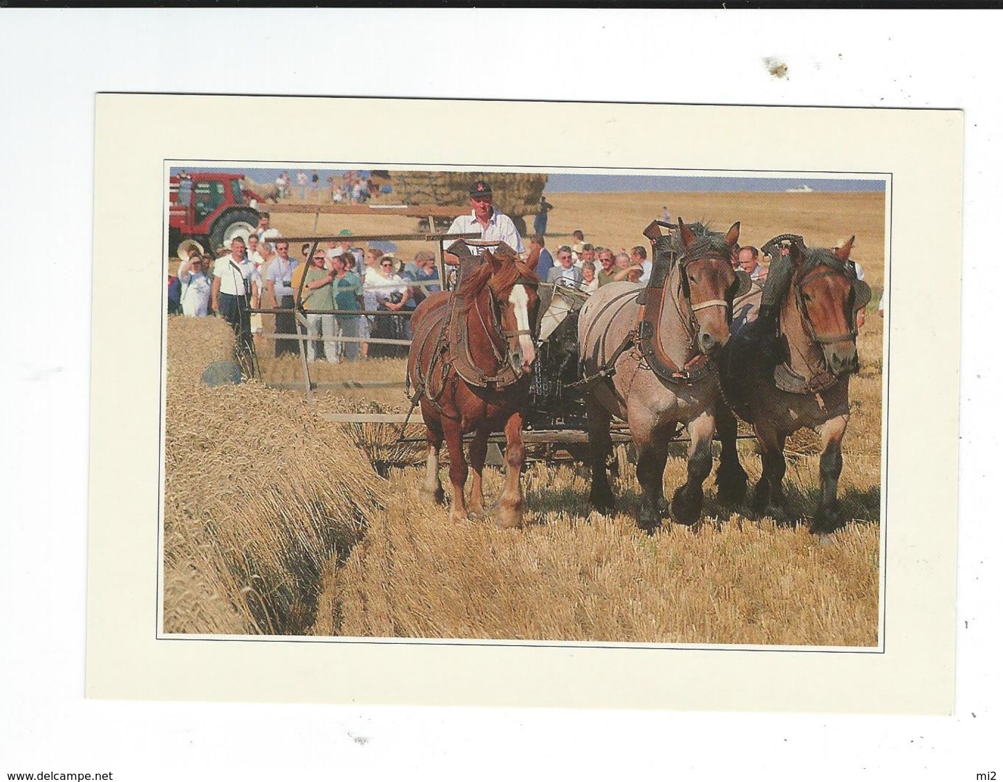 59 Villers Pol Fete De La Moisson à L'ancienne Neuve TBE CPM Attelage De Chevaux Neuve TBE Floriscope Lille - Autres & Non Classés