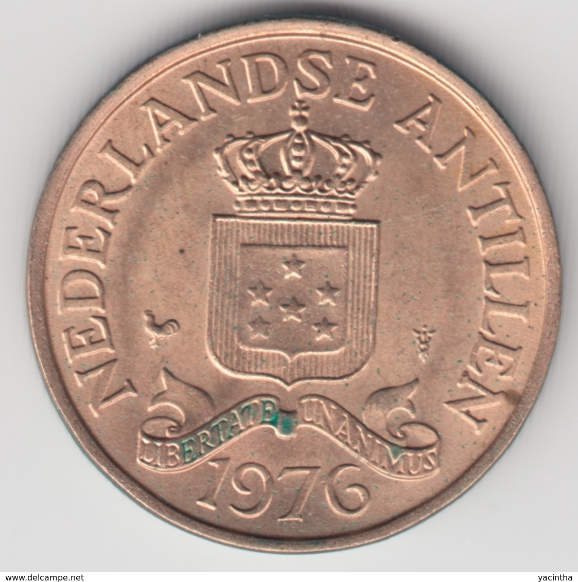 @Y@    Nederlandse Antillen   2 1/2  Cent  1976 ( 4625 ) - Antilles Néerlandaises